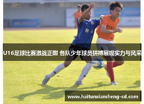 U16足球比赛激战正酣 各队少年球员拼搏展现实力与风采