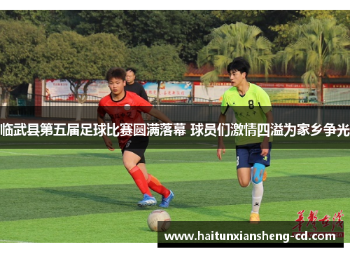 临武县第五届足球比赛圆满落幕 球员们激情四溢为家乡争光